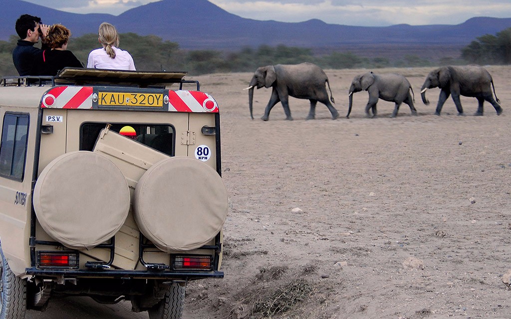 Photo-Courtesy-of-Magical-Kenya_Elephant-Watching-in-Amboseli