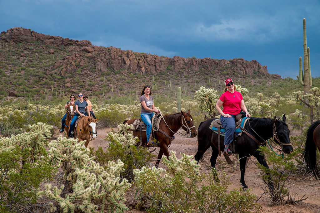 2016 FTA Summit attendees go horseback riding in the desert surrounding Tucson, Arizona