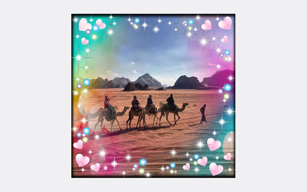 CAMELINTHEDESERT