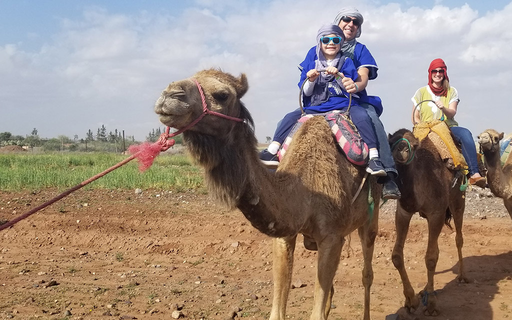 Riding-Camels