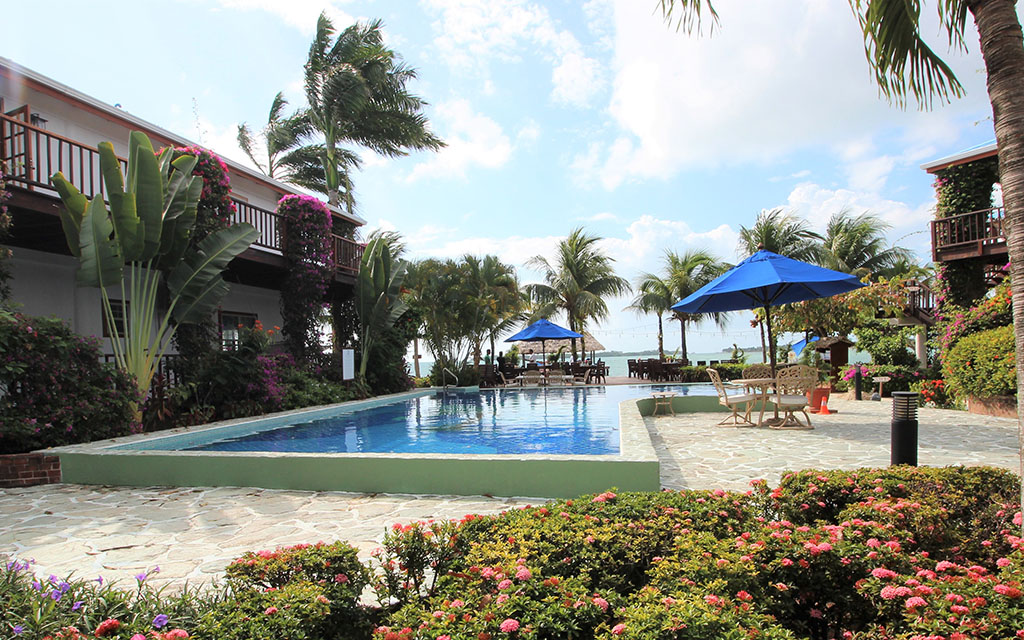 Pool-Palm-Tree-to-Sea-Chabil-Mar-Resort-Belize